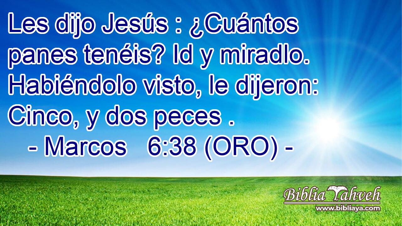  Les dijo Jesús : ¿Cuántos panes tenéis? Id y miradlo. Habiéndolo visto, le dijeron: Cinco, y dos peces . 