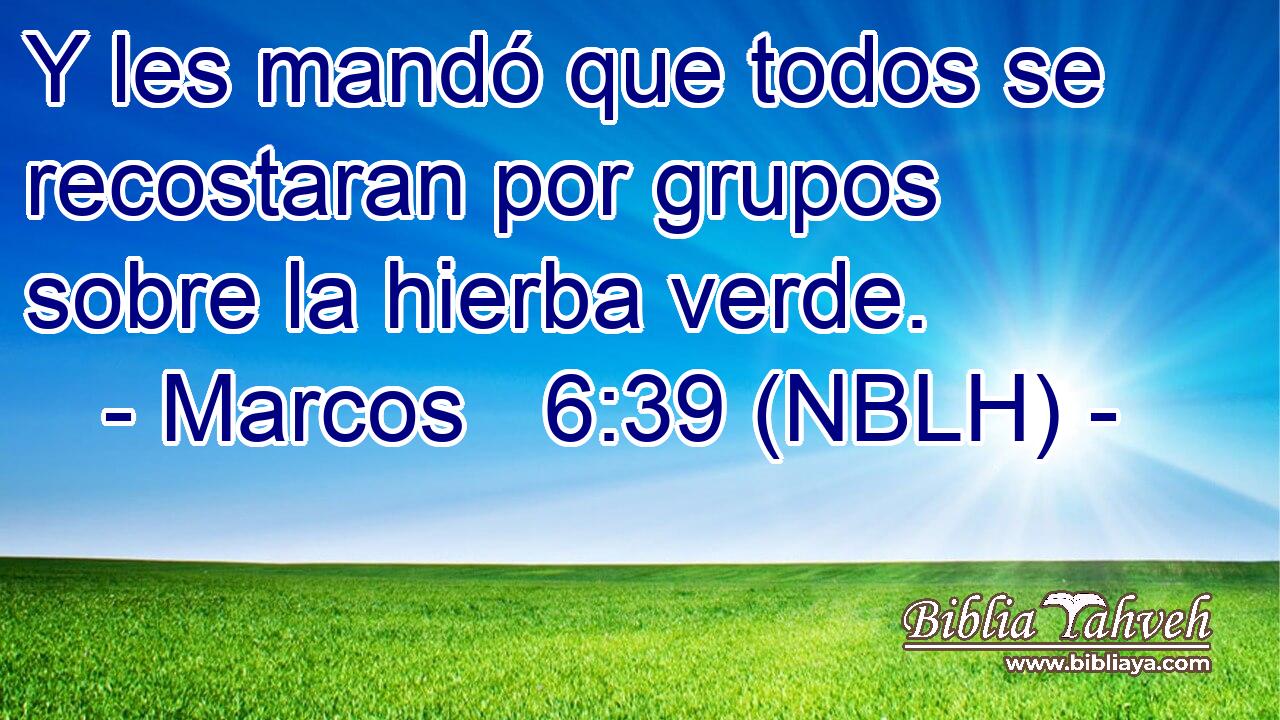  Y les mandó que todos se recostaran por grupos sobre la hierba verde. 