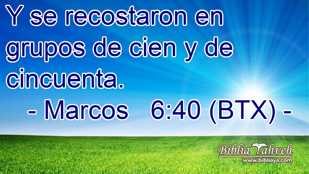 Y se recostaron en grupos de cien y de cincuenta.