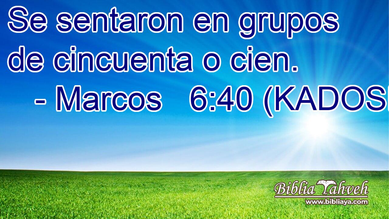  Se sentaron en grupos de cincuenta o cien. 