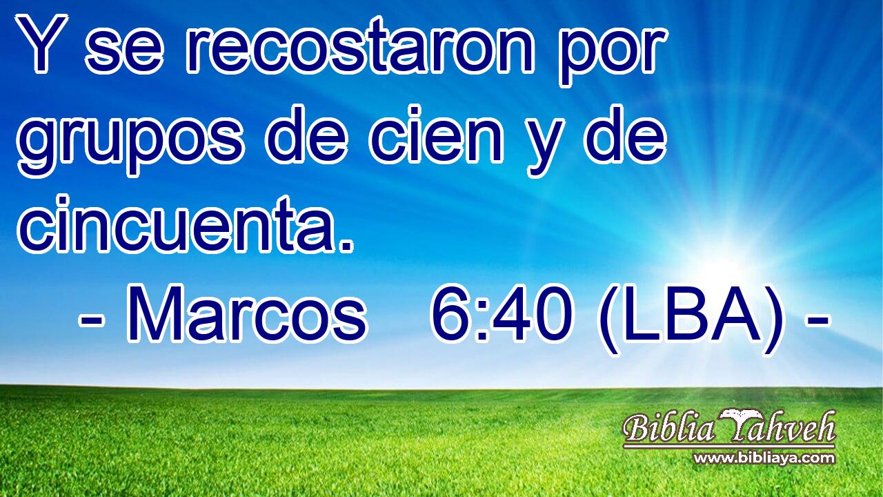 Y se recostaron por grupos de cien y de cincuenta.