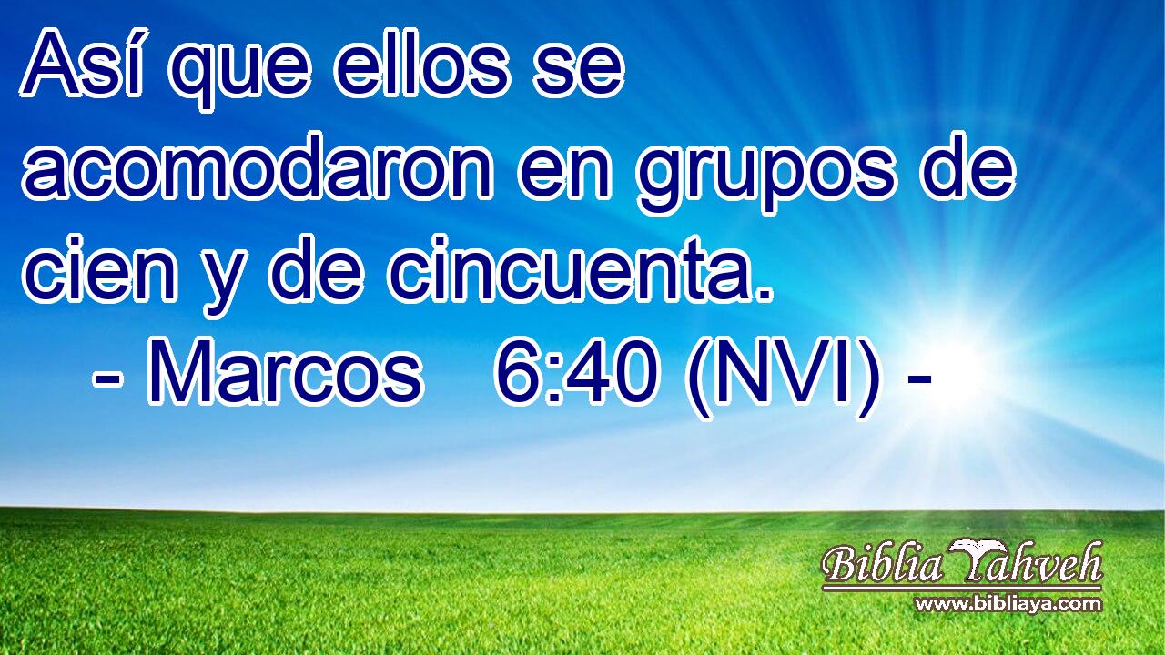  Así que ellos se acomodaron en grupos de cien y de cincuenta. 