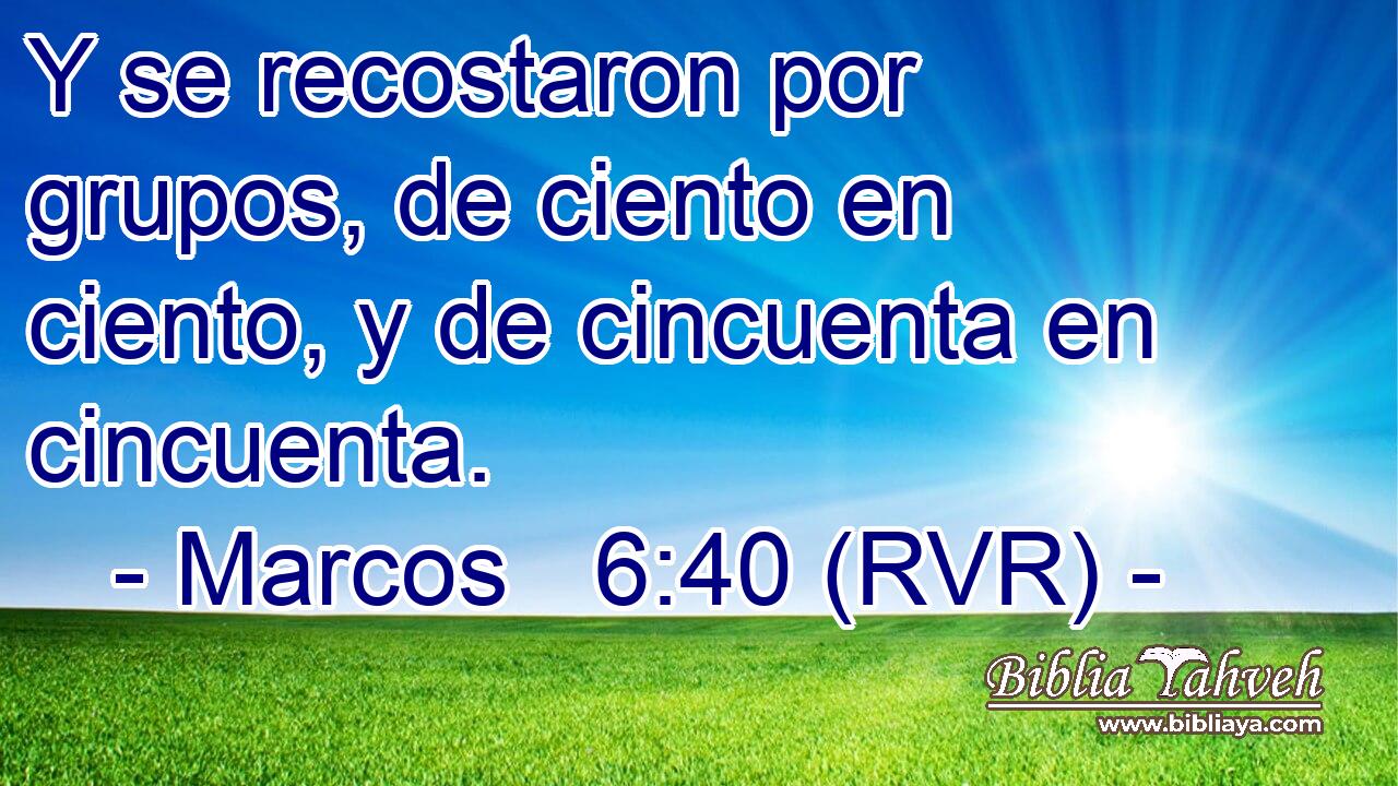 Y se recostaron por grupos, de ciento en ciento, y de cincuenta en cincuenta.