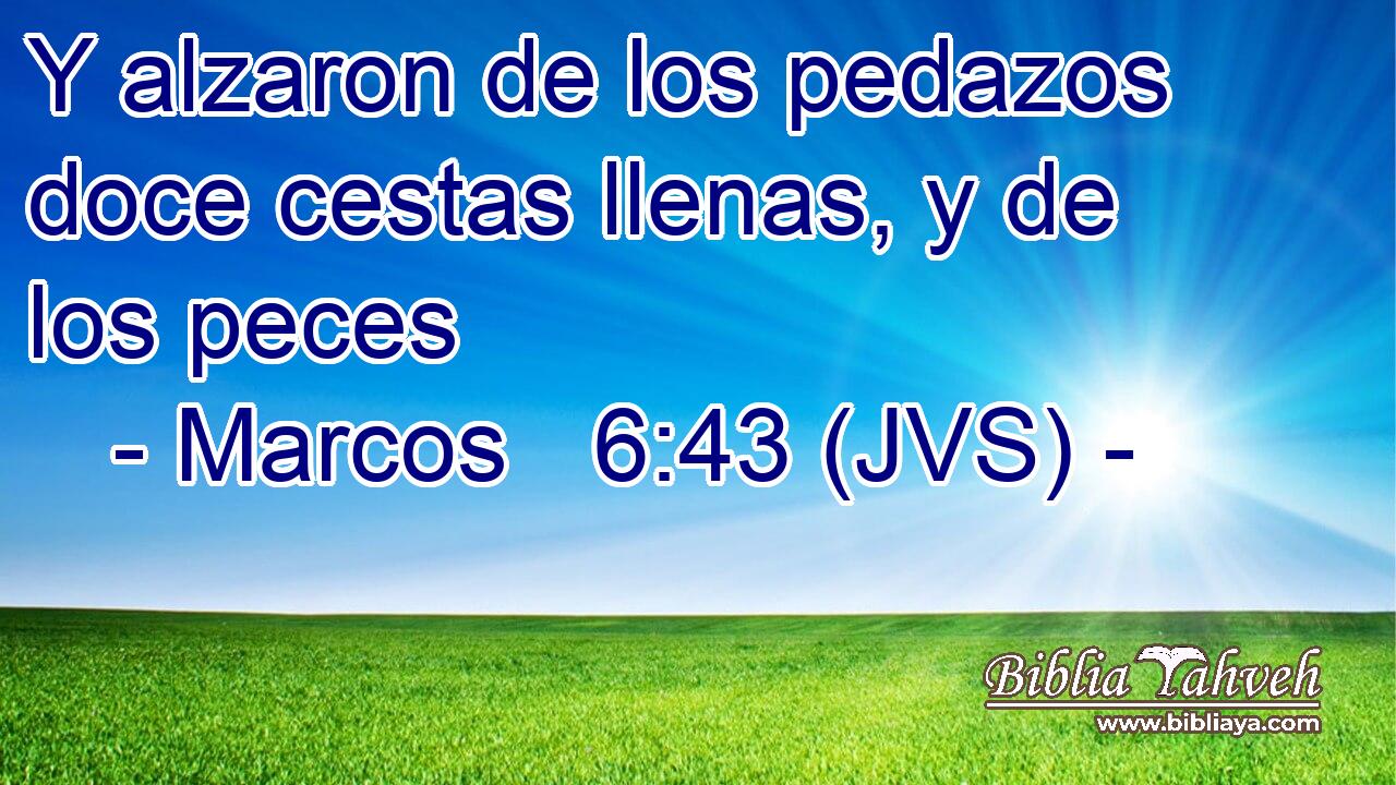 Y alzaron de los pedazos doce cestas llenas, y de los peces