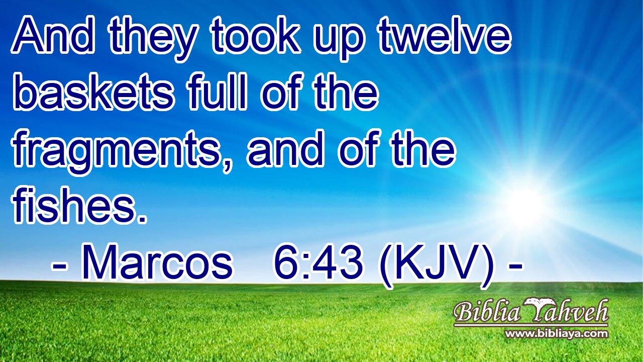 And they took up twelve baskets full of the fragments, and of the fishes.