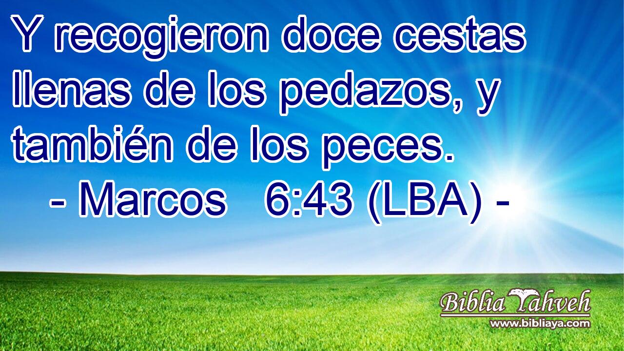 Y recogieron doce cestas llenas de los pedazos, y también de los peces.