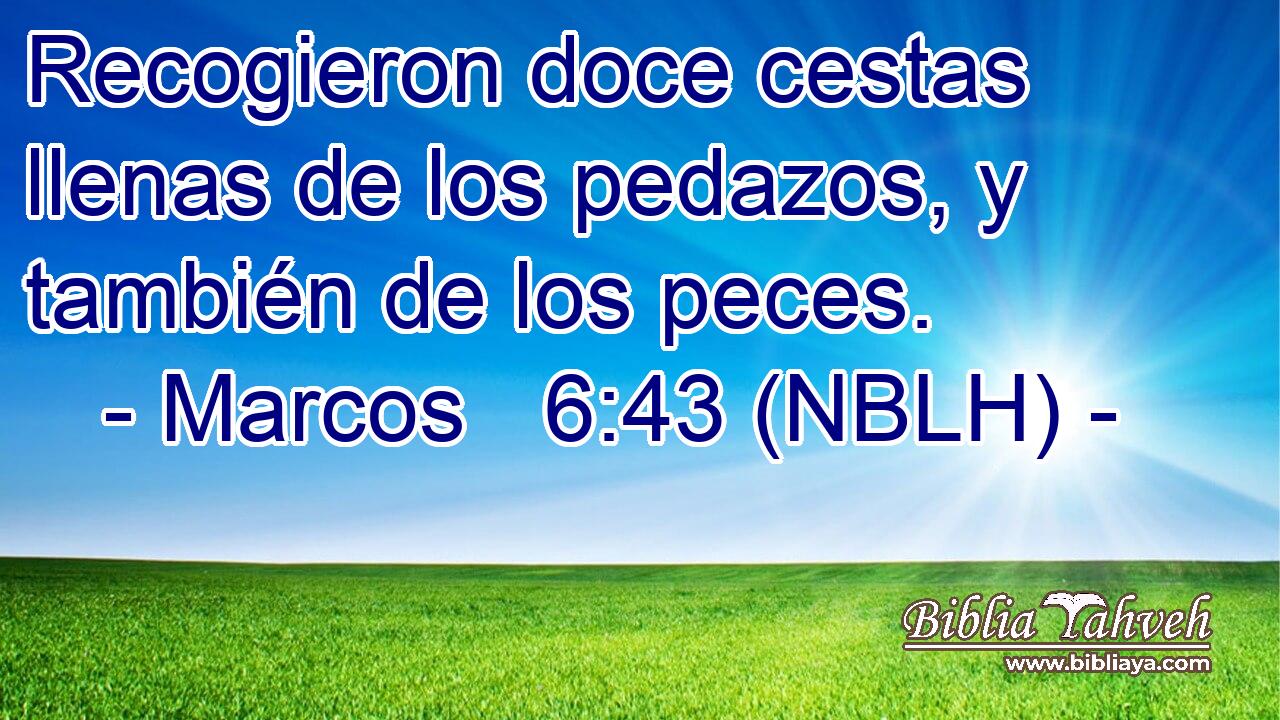  Recogieron doce cestas llenas de los pedazos, y también de los peces. 