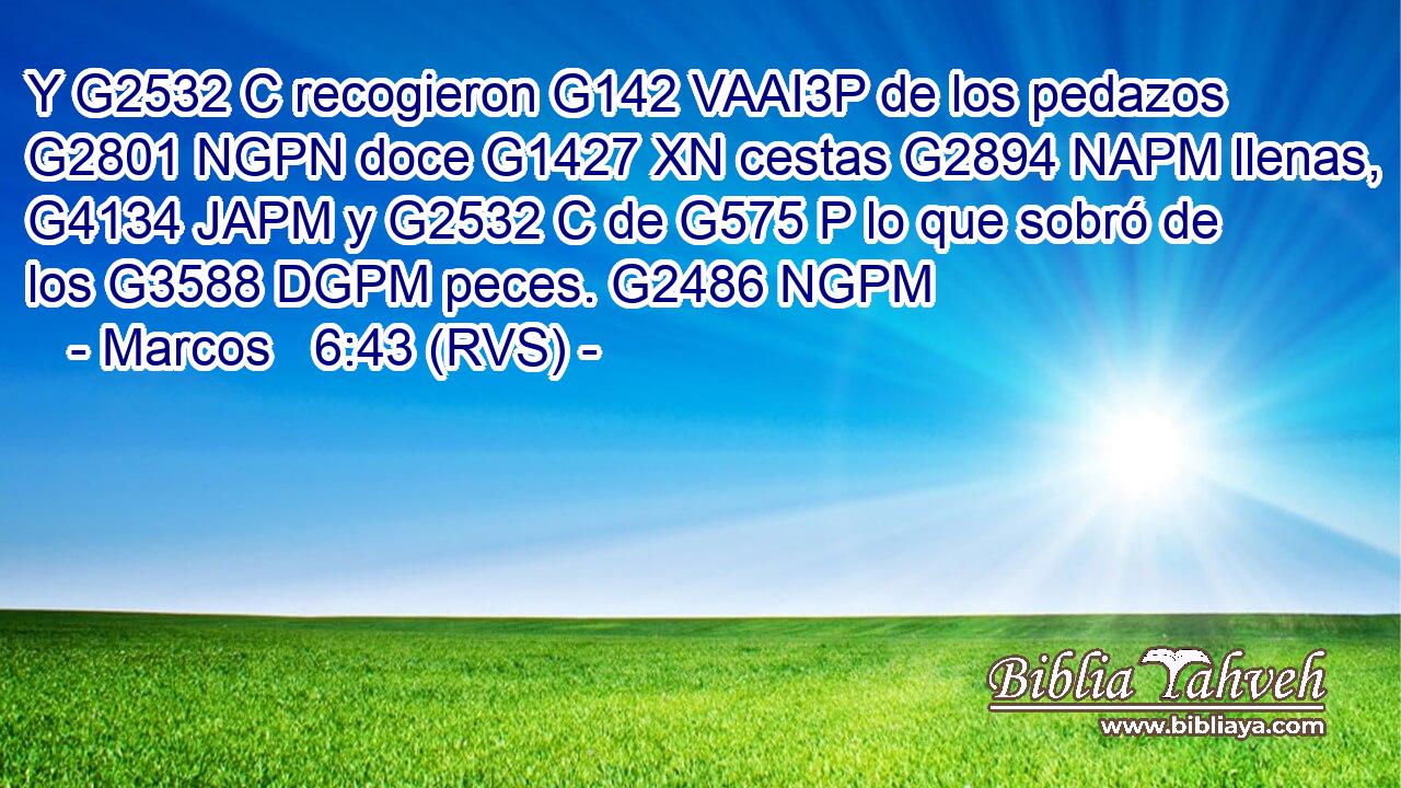 Y G2532 C recogieron G142 VAAI3P de los pedazos G2801 NGPN doce G1427 XN cestas G2894 NAPM llenas, G4134 JAPM y G2532 C de G575 P lo que sobró de los G3588 DGPM peces. G2486 NGPM 