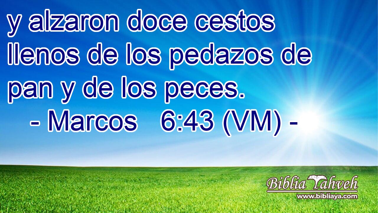  y alzaron doce cestos llenos de los pedazos de pan y de los peces. 