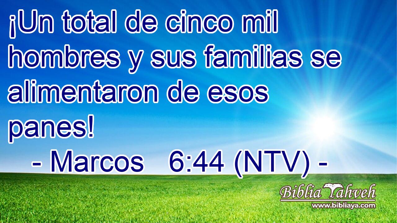 ¡Un total de cinco mil hombres y sus familias se alimentaron de esos panes!