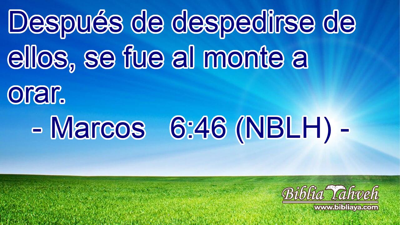  Después de despedirse de ellos, se fue al monte a orar. 