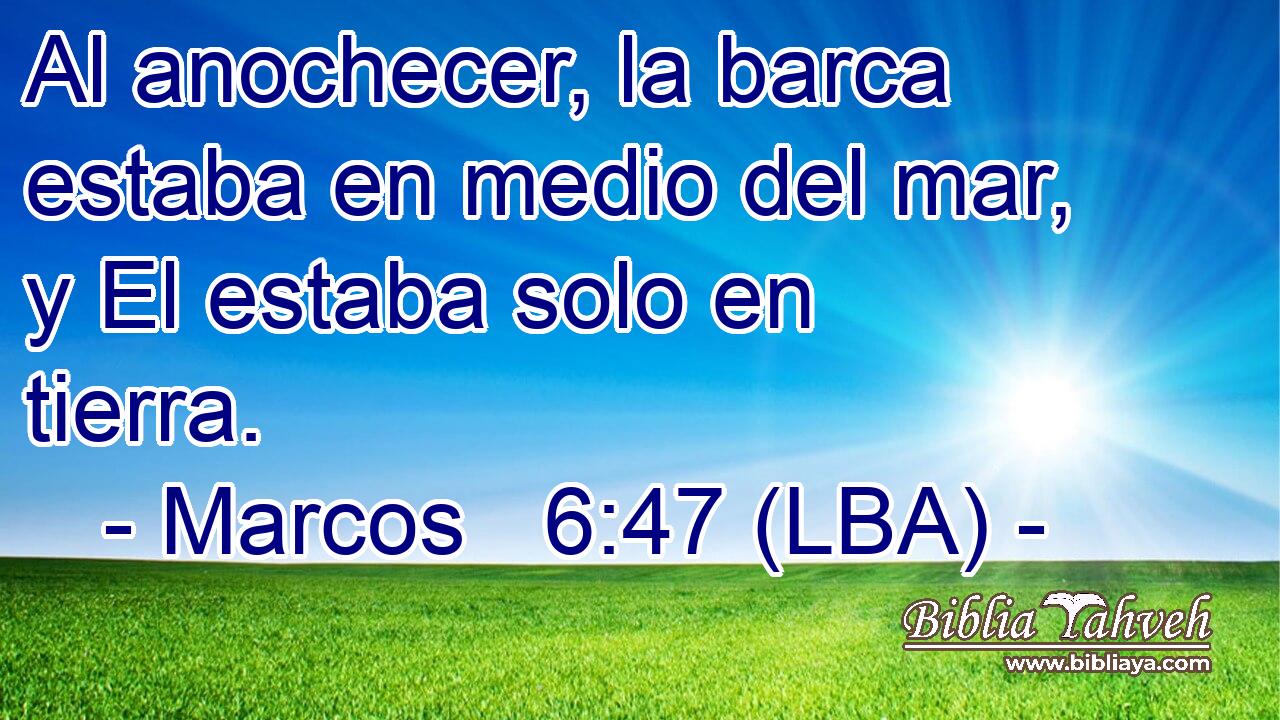 Al anochecer, la barca estaba en medio del mar, y El estaba solo en tierra.