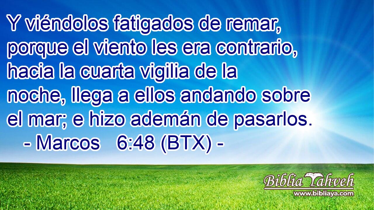 Y viéndolos fatigados de remar, porque el viento les era contrario, hacia la cuarta vigilia de la noche, llega a ellos andando sobre el mar; e hizo ademán de pasarlos.