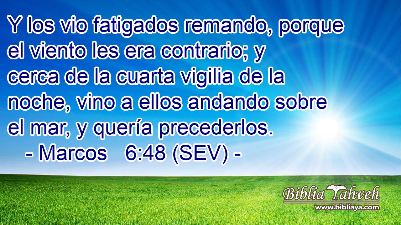 Y los vio fatigados remando, porque el viento les era contrario; y cerca de la cuarta vigilia de la noche, vino a ellos andando sobre el mar, y quería precederlos.