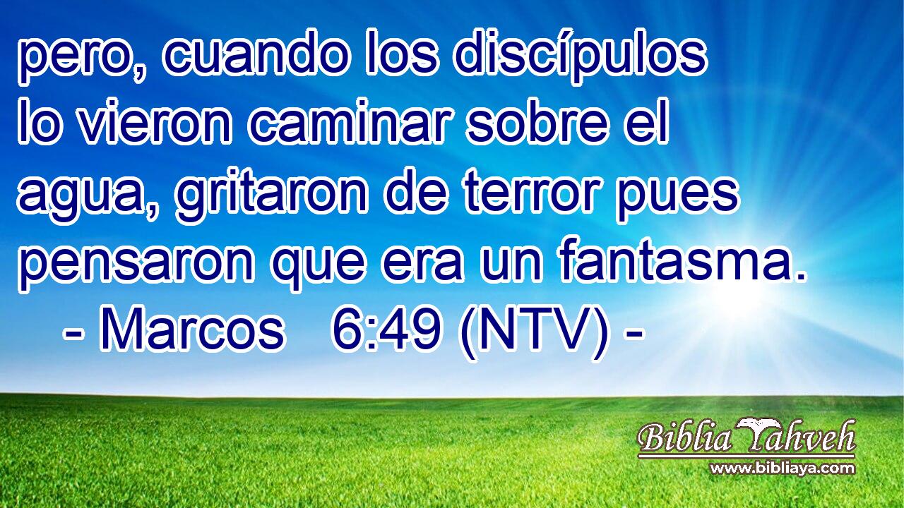 pero, cuando los discípulos lo vieron caminar sobre el agua, gritaron de terror pues pensaron que era un fantasma.