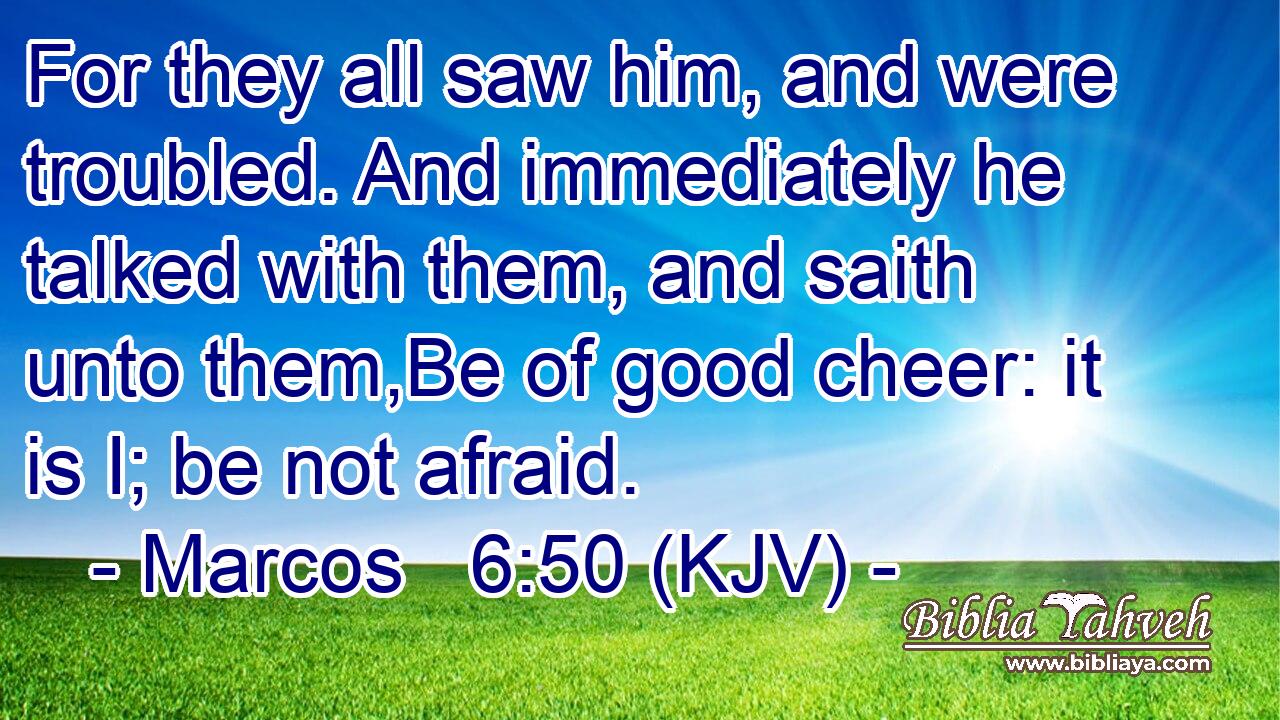 For they all saw him, and were troubled. And immediately he talked with them, and saith unto them,Be of good cheer: it is I; be not afraid.