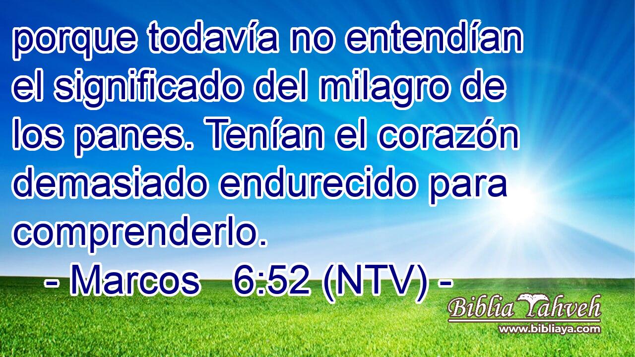 porque todavía no entendían el significado del milagro de los panes. Tenían el corazón demasiado endurecido para comprenderlo.