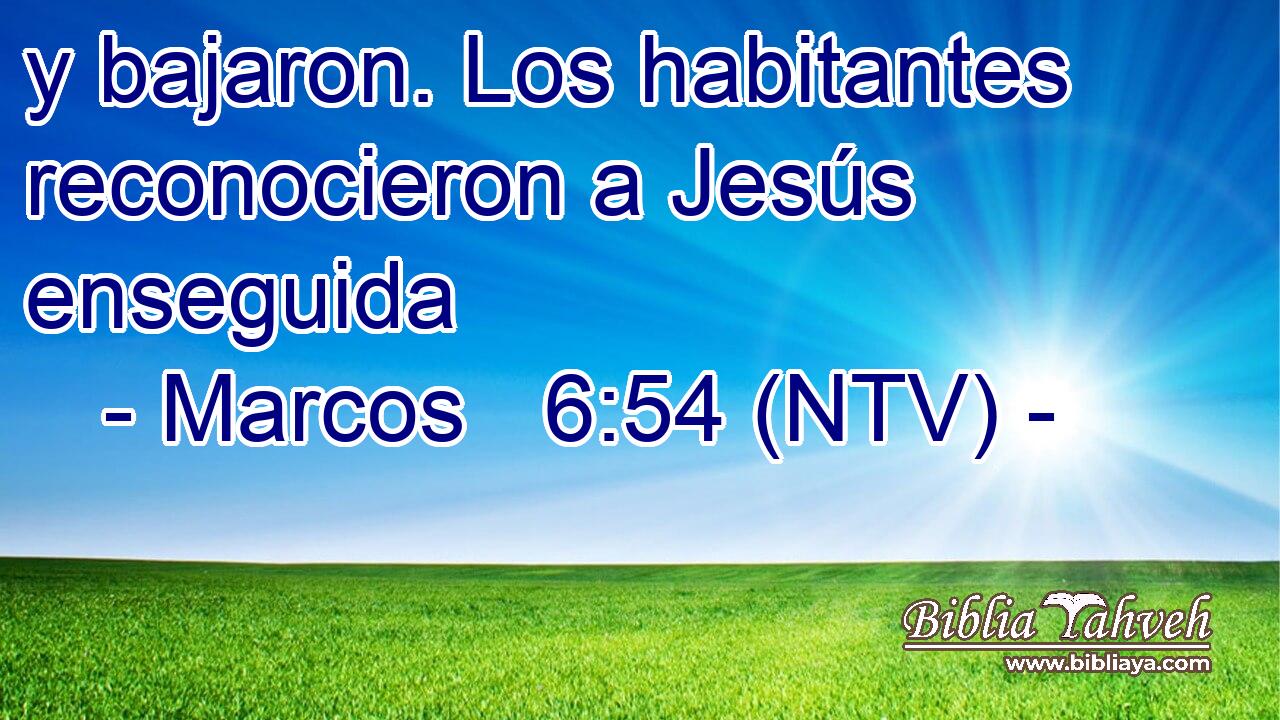 y bajaron. Los habitantes reconocieron a Jesús enseguida