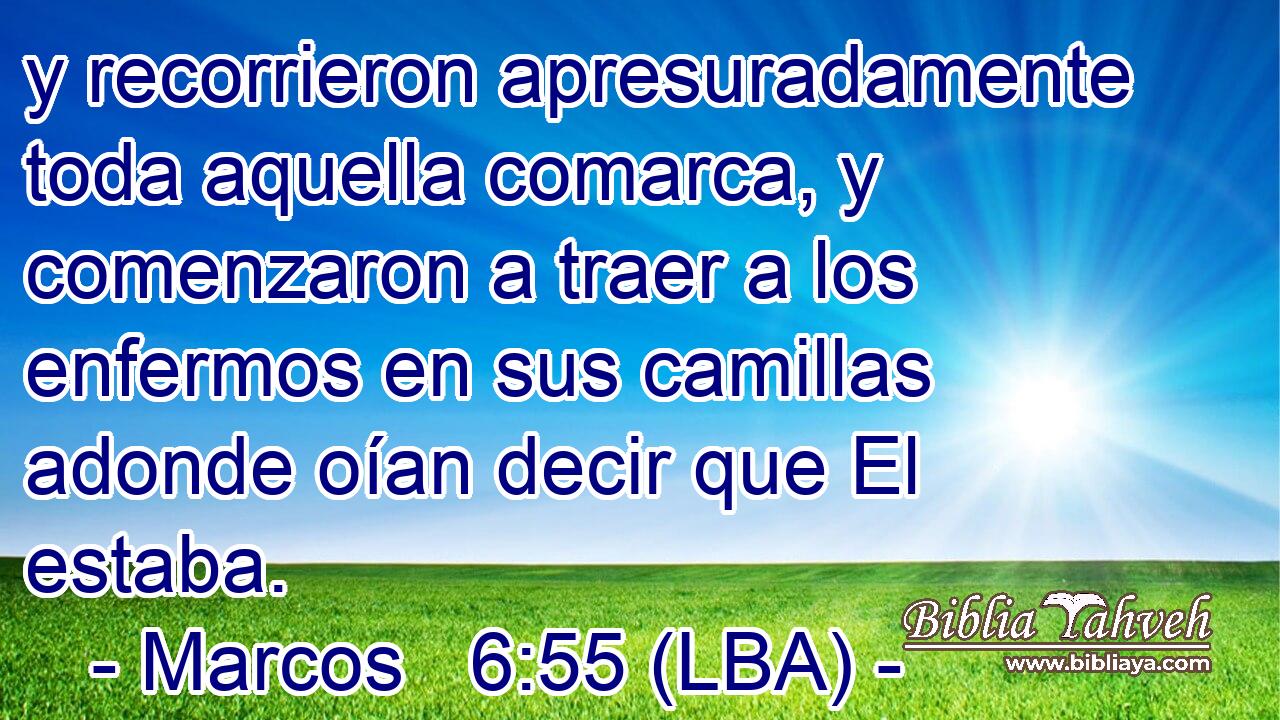 y recorrieron apresuradamente toda aquella comarca, y comenzaron a traer a los enfermos en sus camillas adonde oían decir que El estaba.