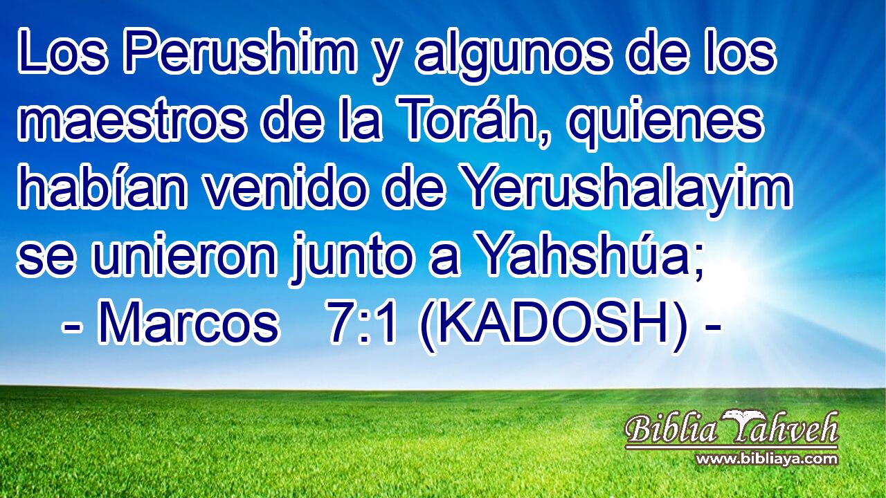  Los Perushim y algunos de los maestros de la Toráh, quienes habían venido de Yerushalayim se unieron junto a Yahshúa; 