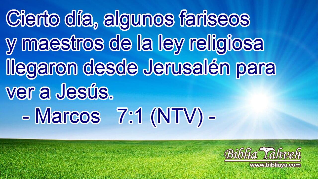 Cierto día, algunos fariseos y maestros de la ley religiosa llegaron desde Jerusalén para ver a Jesús.