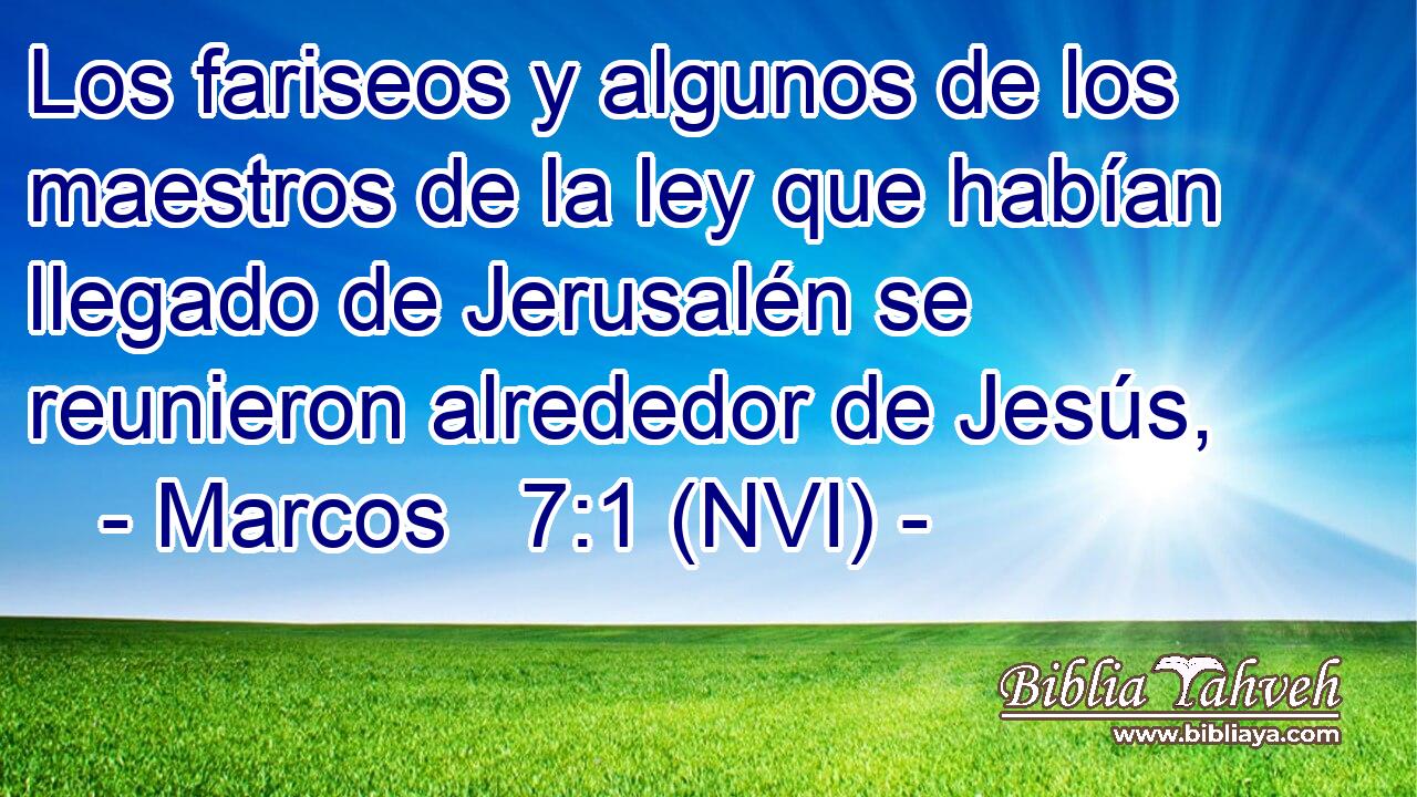  Los fariseos y algunos de los maestros de la ley que habían llegado de Jerusalén se reunieron alrededor de Jesús, 