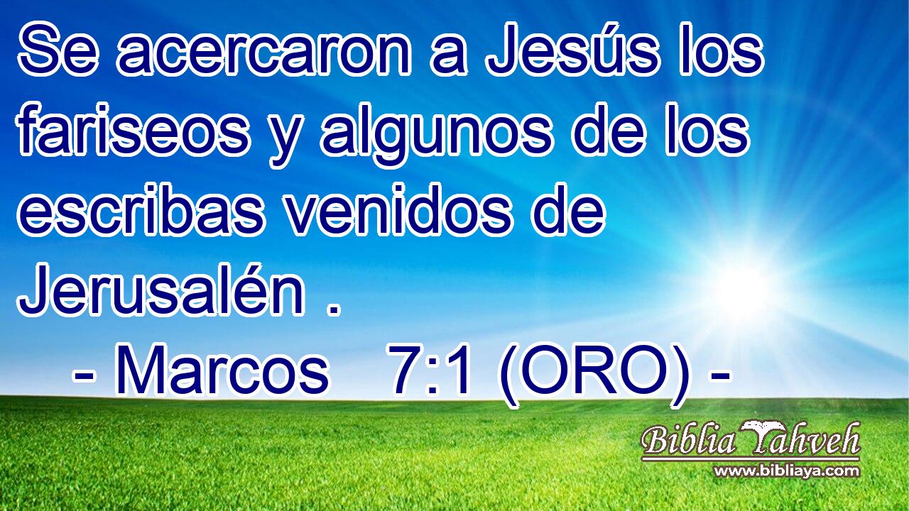  Se acercaron a Jesús los fariseos y algunos de los escribas venidos de Jerusalén . 