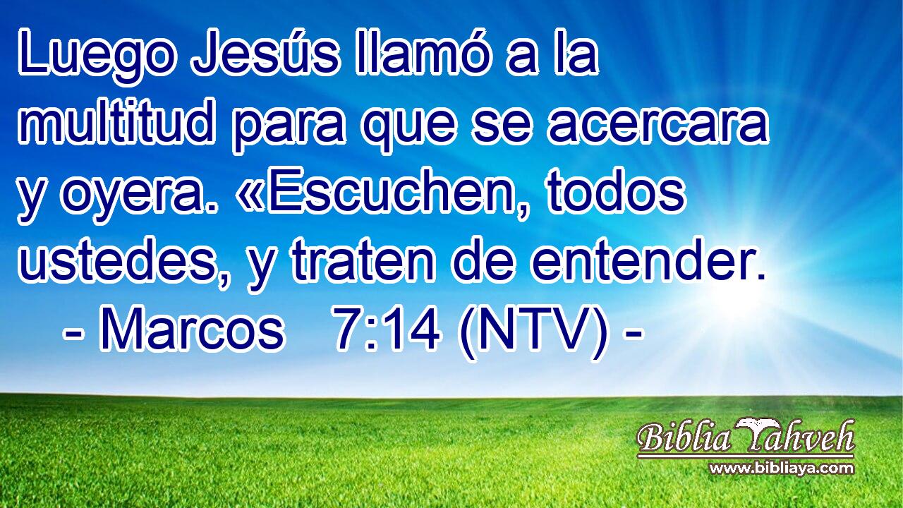 Luego Jesús llamó a la multitud para que se acercara y oyera. «Escuchen, todos ustedes, y traten de entender.