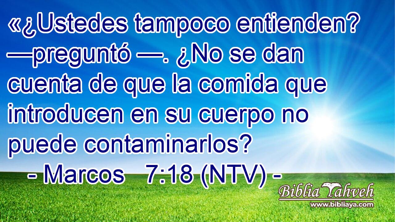 «¿Ustedes tampoco entienden? —preguntó —. ¿No se dan cuenta de que la comida que introducen en su cuerpo no puede contaminarlos?