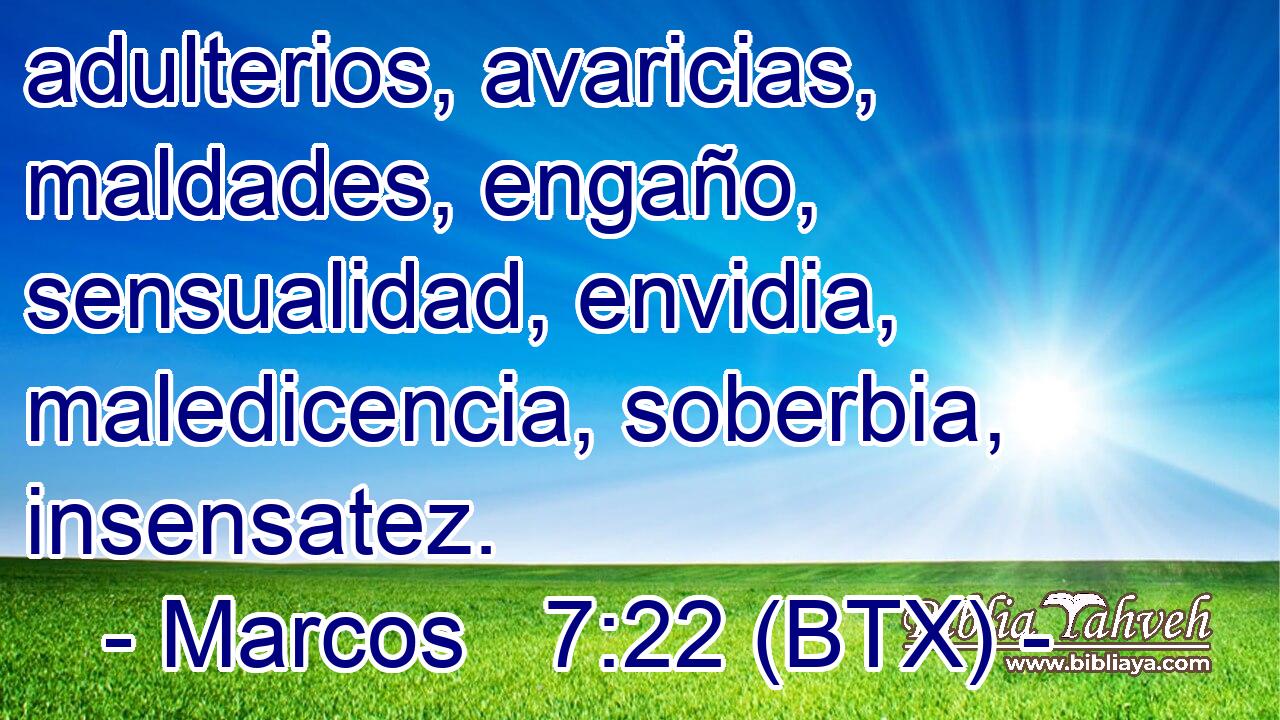 adulterios, avaricias, maldades, engaño, sensualidad, envidia, maledicencia, soberbia, insensatez.