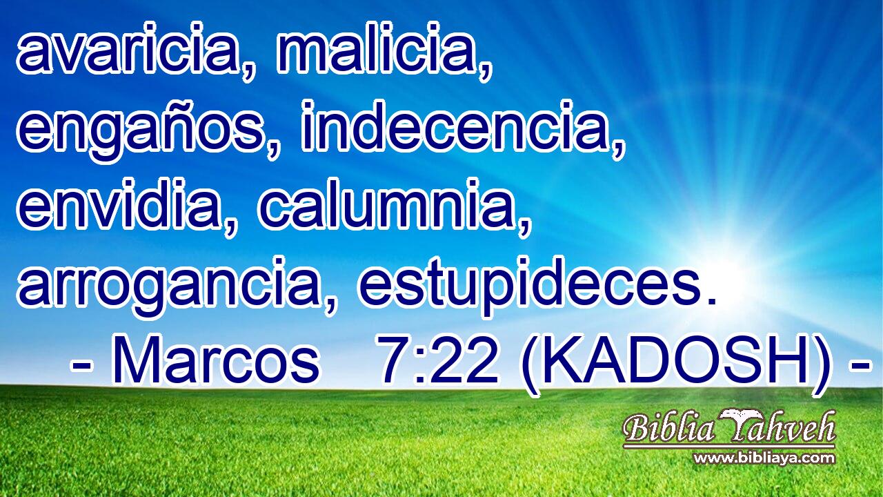  avaricia, malicia, engaños, indecencia, envidia, calumnia, arrogancia, estupideces. 