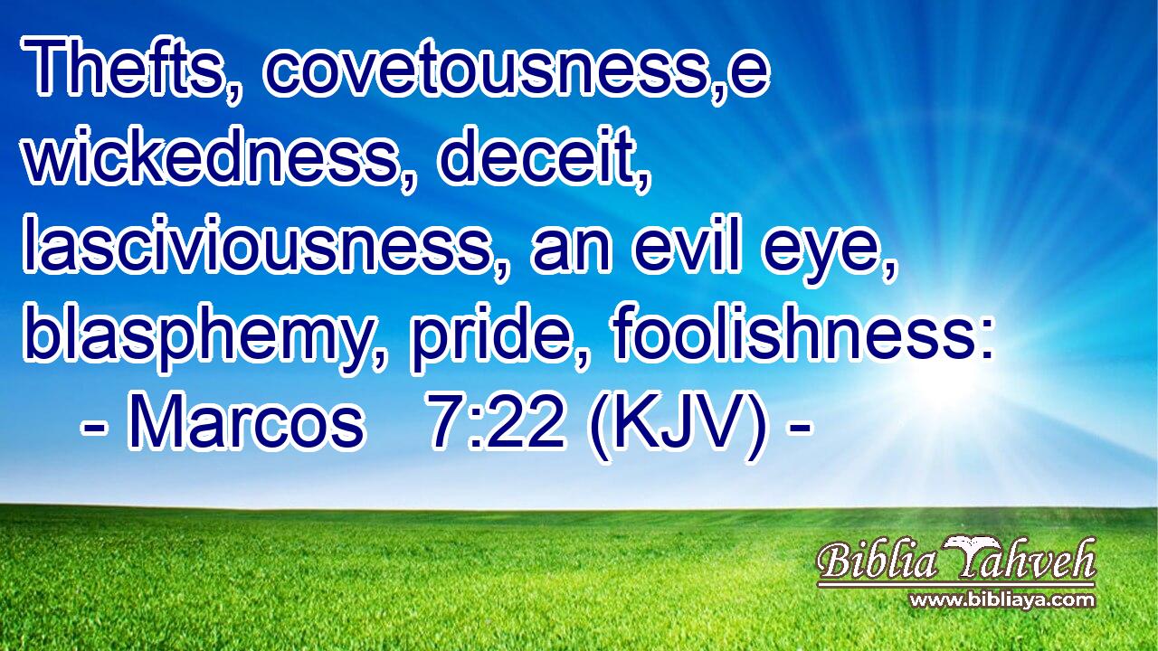 Thefts, covetousness,e wickedness, deceit, lasciviousness, an evil eye, blasphemy, pride, foolishness: