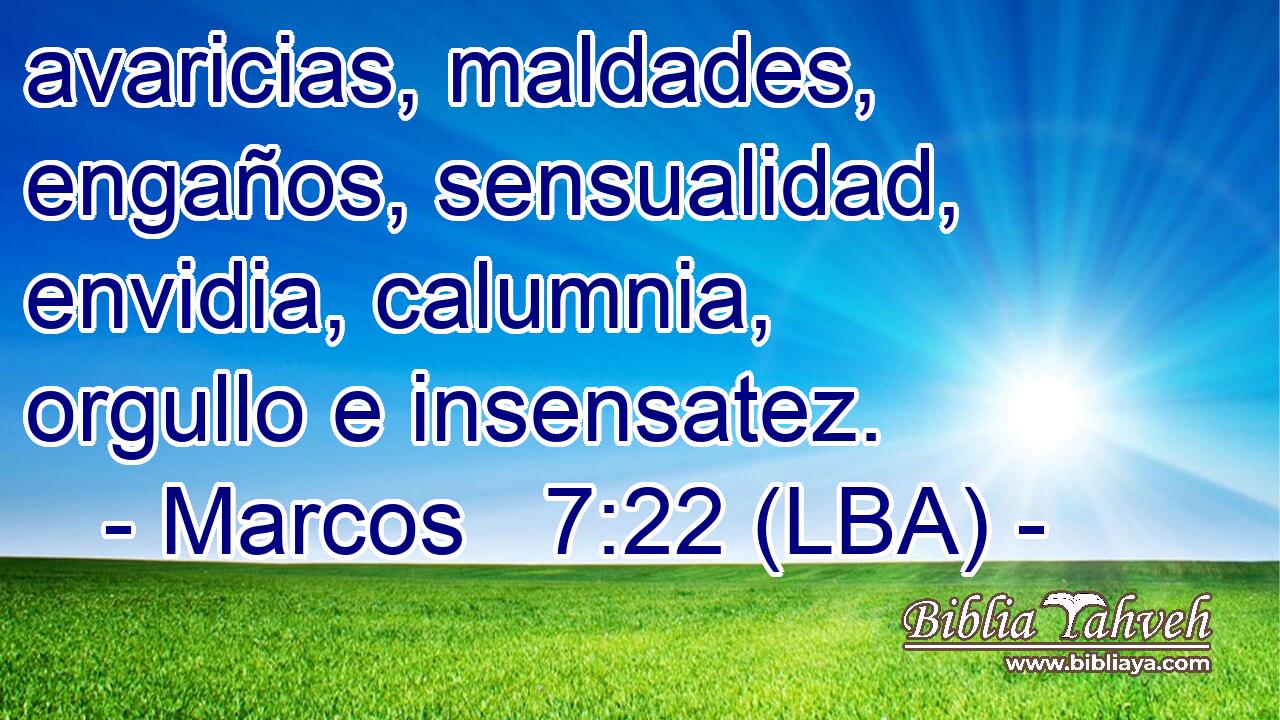 avaricias, maldades, engaños, sensualidad, envidia, calumnia, orgullo e insensatez.