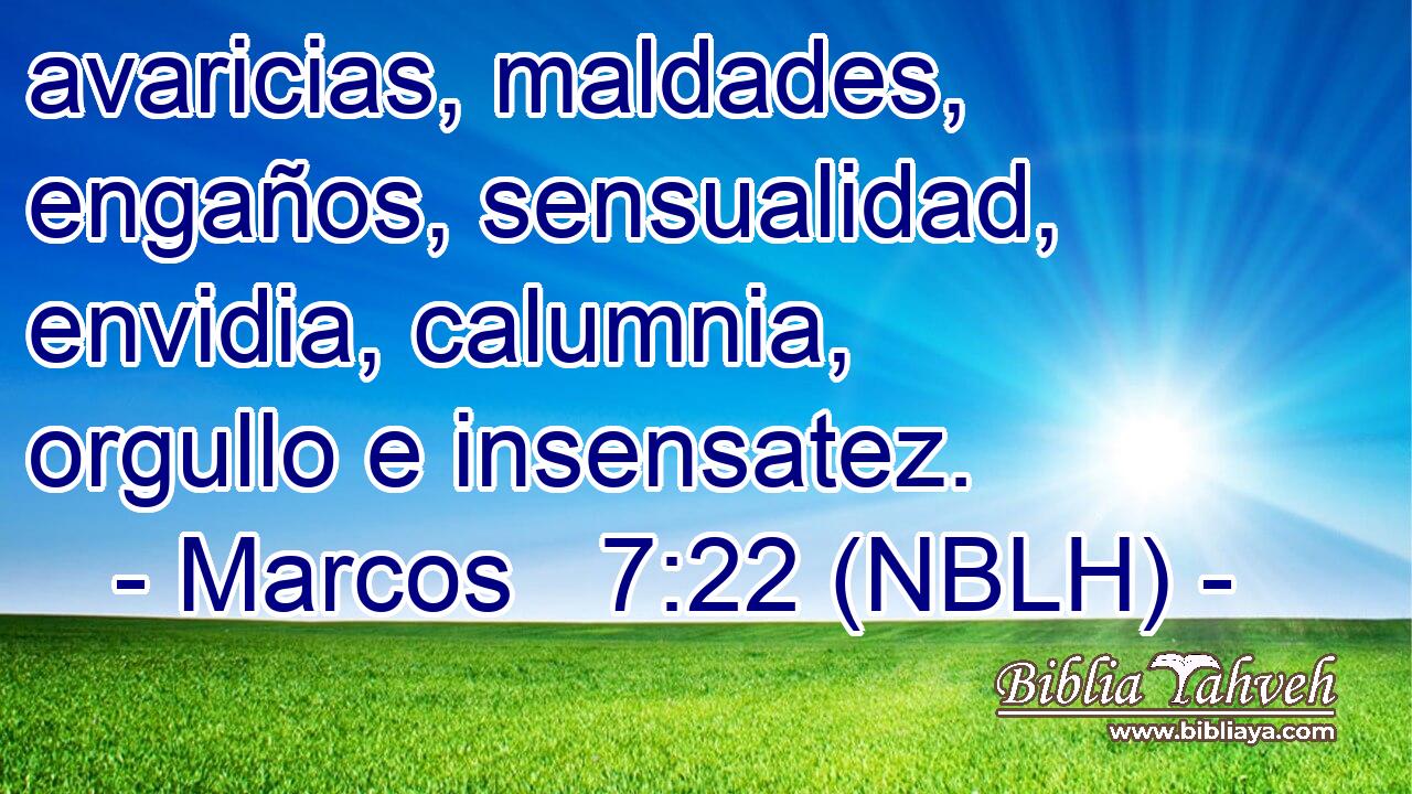  avaricias, maldades, engaños, sensualidad, envidia, calumnia, orgullo e insensatez. 