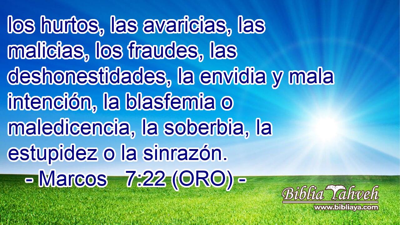  los hurtos, las avaricias, las malicias, los fraudes, las deshonestidades, la envidia y mala intención, la blasfemia o maledicencia, la soberbia, la estupidez o la sinrazón. 