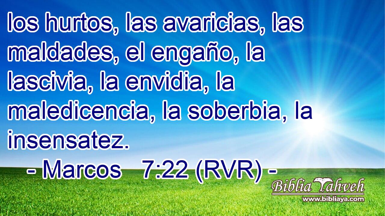 los hurtos, las avaricias, las maldades, el engaño, la lascivia, la envidia, la maledicencia, la soberbia, la insensatez.