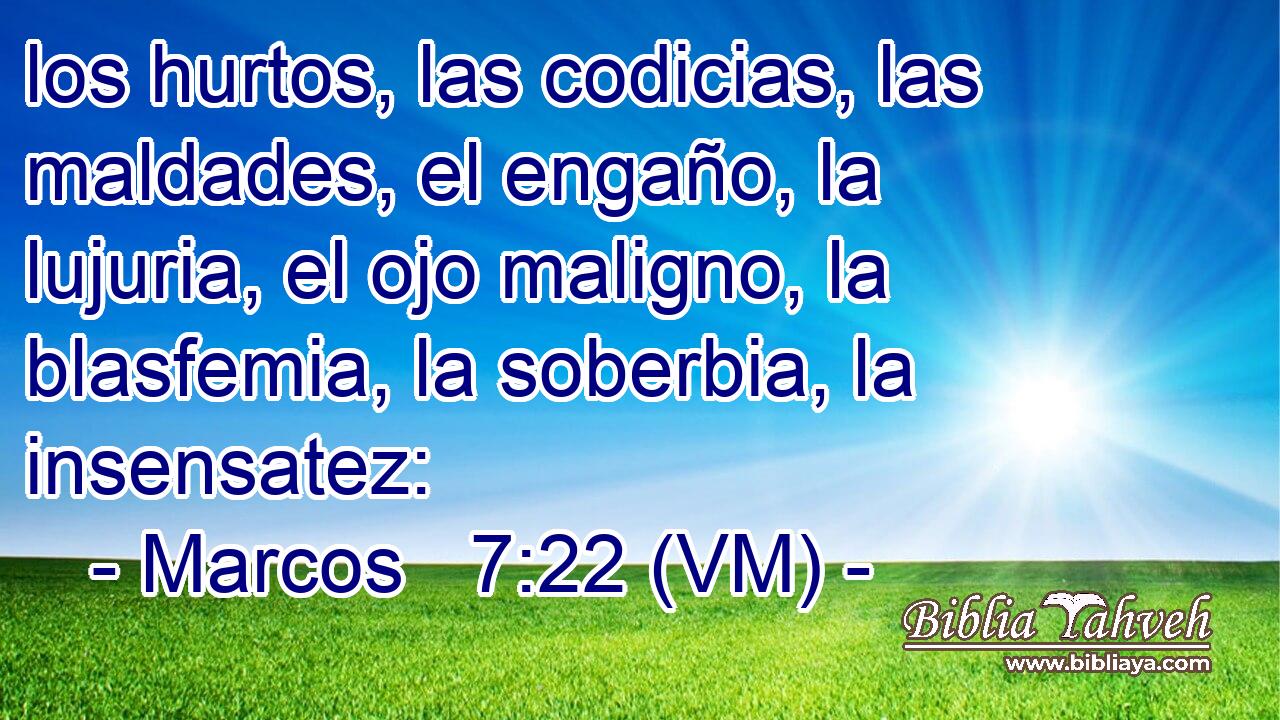  los hurtos, las codicias, las maldades, el engaño, la lujuria, el ojo maligno, la blasfemia, la soberbia, la insensatez: 
