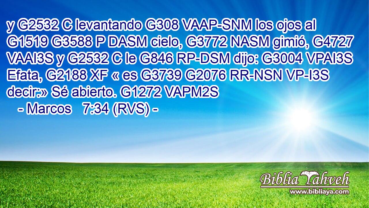 y G2532 C levantando G308 VAAP-SNM los ojos al G1519 G3588 P DASM cielo, G3772 NASM gimió, G4727 VAAI3S y G2532 C le G846 RP-DSM dijo: G3004 VPAI3S Efata, G2188 XF « es G3739 G2076 RR-NSN VP-I3S decir:» Sé abierto. G1272 VAPM2S 