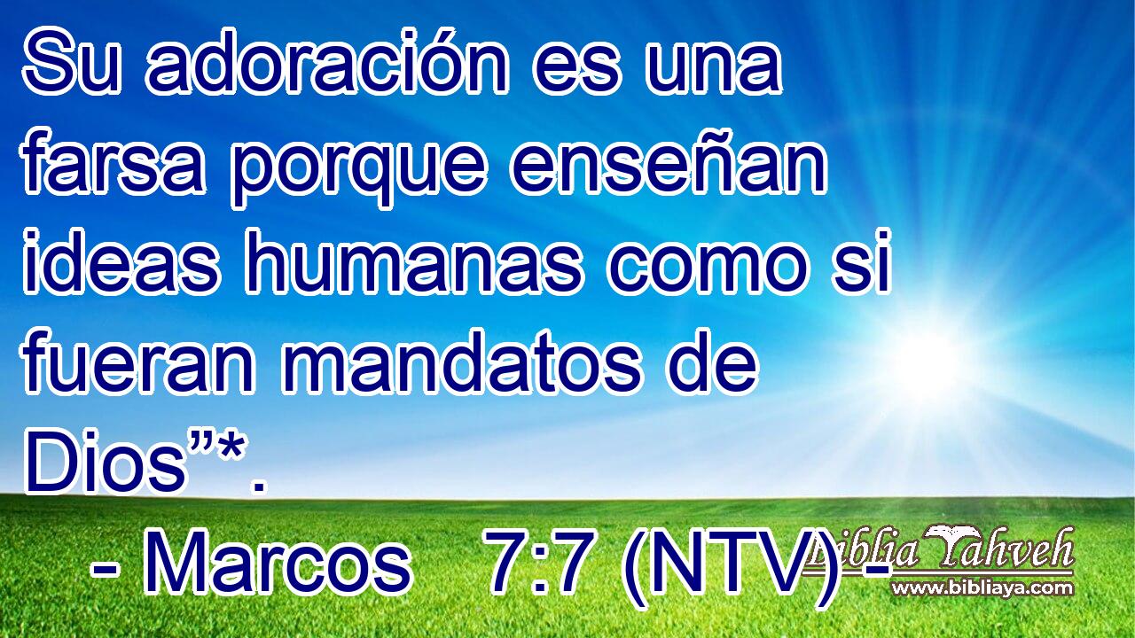 Su adoración es una farsa porque enseñan ideas humanas como si fueran mandatos de Dios”*.