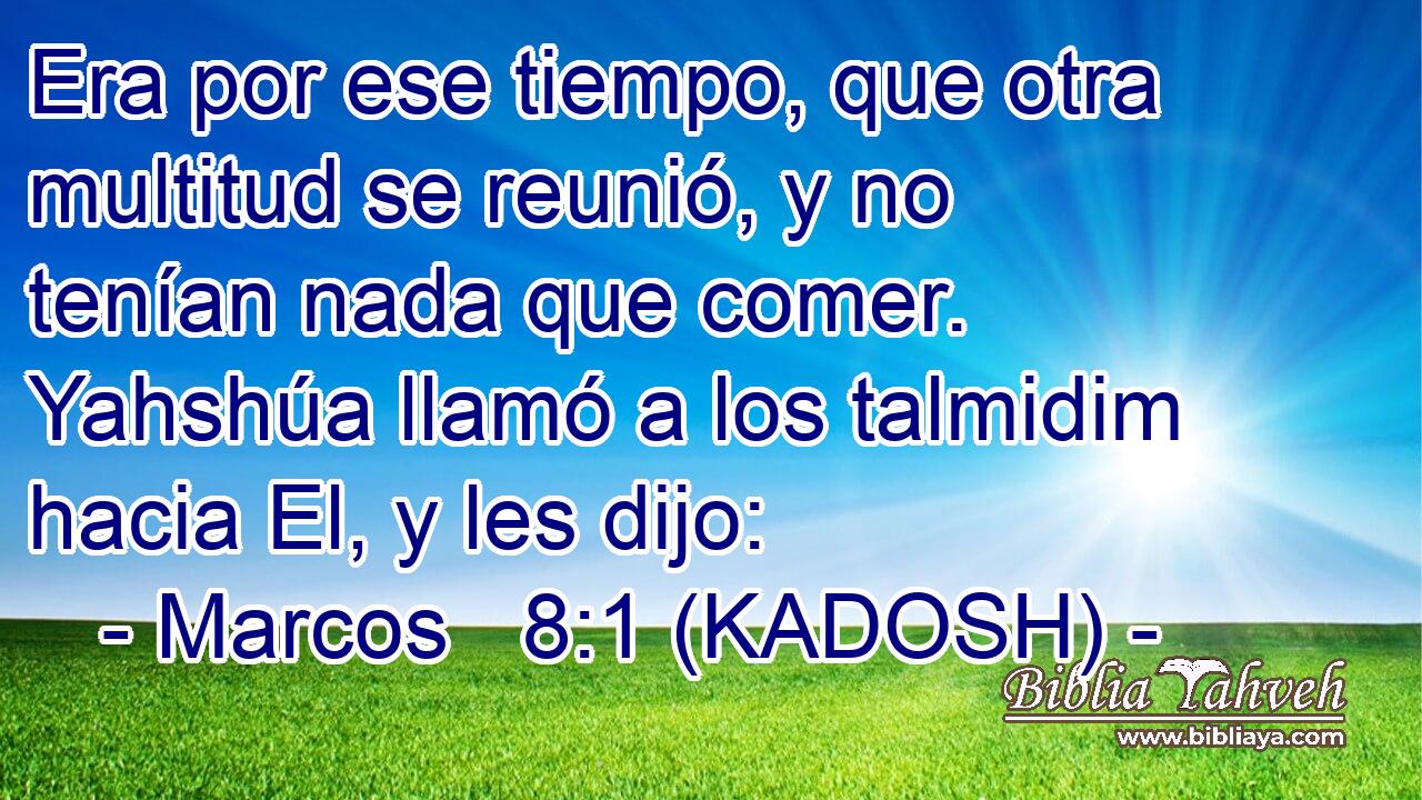  Era por ese tiempo, que otra multitud se reunió, y no tenían nada que comer. Yahshúa llamó a los talmidim hacia El, y les dijo: 