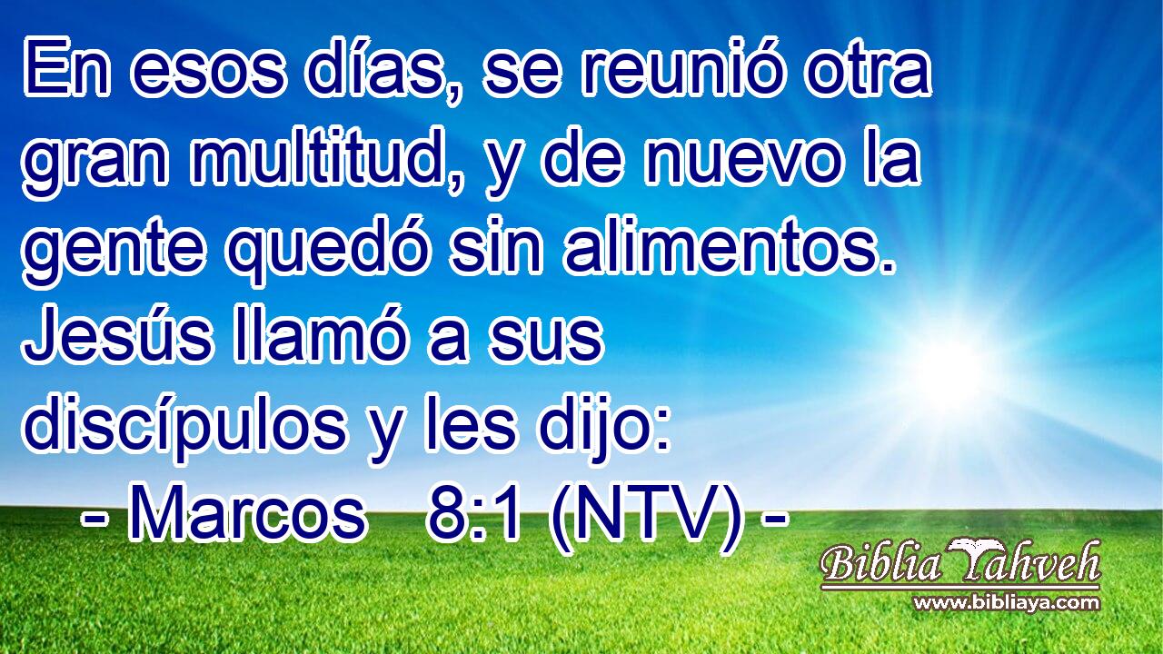 En esos días, se reunió otra gran multitud, y de nuevo la gente quedó sin alimentos. Jesús llamó a sus discípulos y les dijo: