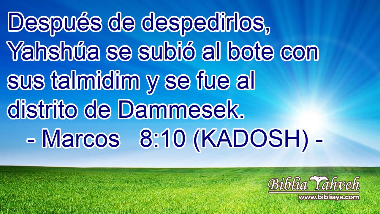  Después de despedirlos, Yahshúa se subió al bote con sus talmidim y se fue al distrito de Dammesek. 