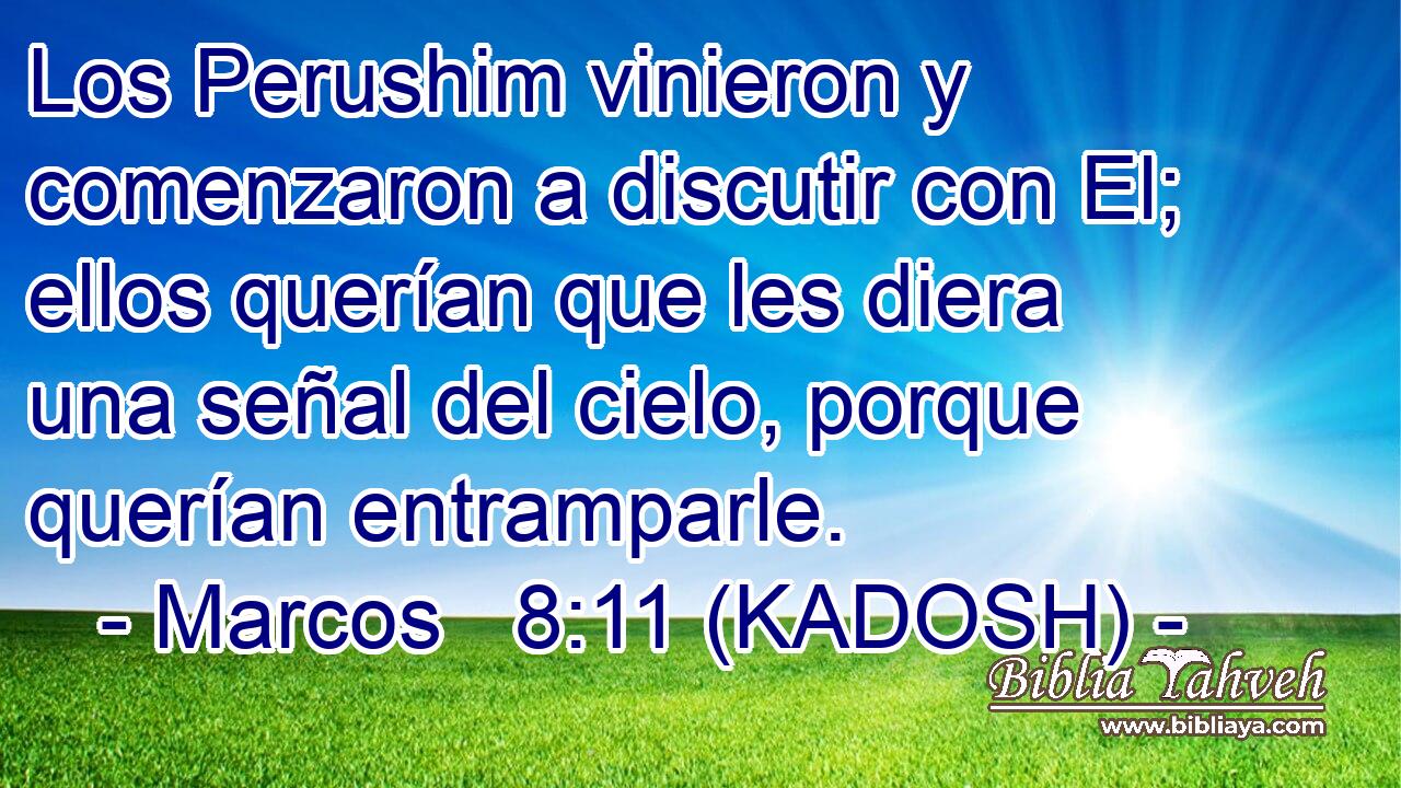  Los Perushim vinieron y comenzaron a discutir con El; ellos querían que les diera una señal del cielo, porque querían entramparle. 