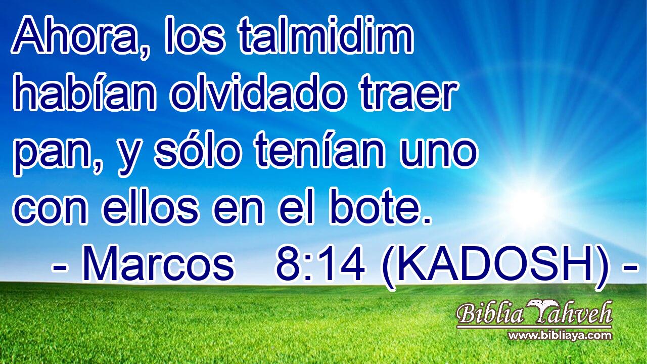  Ahora, los talmidim habían olvidado traer pan, y sólo tenían uno con ellos en el bote. 