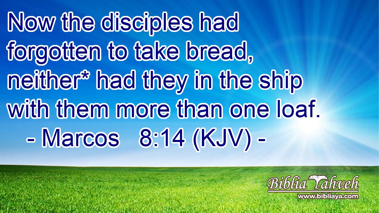 Now the disciples had forgotten to take bread, neither* had they in the ship with them more than one loaf.