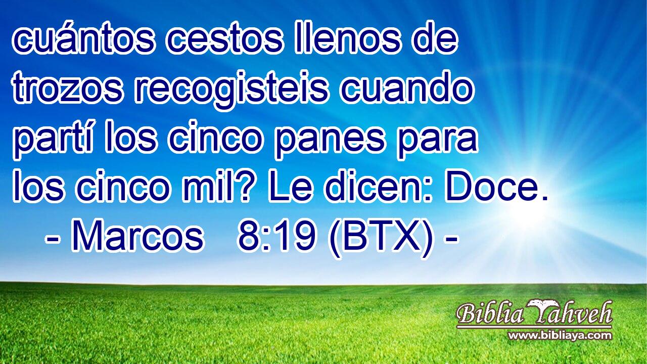 cuántos cestos llenos de trozos recogisteis cuando partí los cinco panes para los cinco mil? Le dicen: Doce.