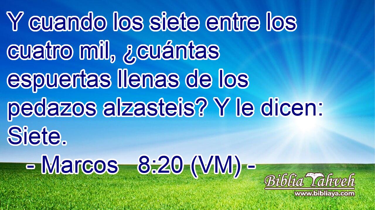  Y cuando los siete entre los cuatro mil, ¿cuántas espuertas llenas de los pedazos alzasteis? Y le dicen: Siete. 