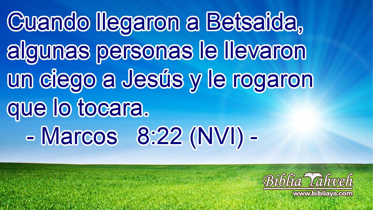  Cuando llegaron a Betsaida, algunas personas le llevaron un ciego a Jesús y le rogaron que lo tocara. 