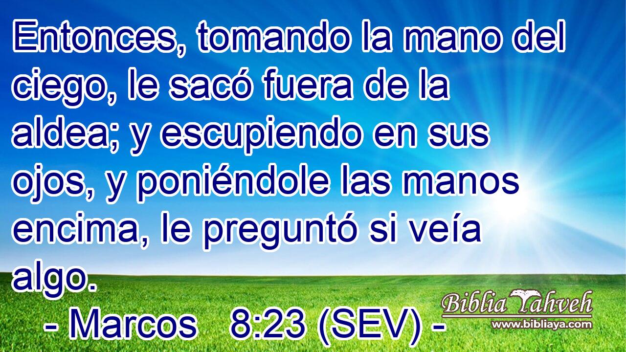 Entonces, tomando la mano del ciego, le sacó fuera de la aldea; y escupiendo en sus ojos, y poniéndole las manos encima, le preguntó si veía algo.