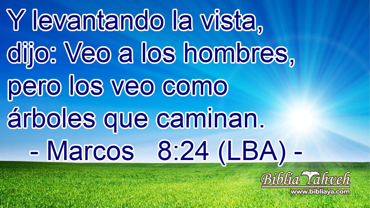 Y levantando la vista, dijo: Veo a los hombres, pero los veo como árboles que caminan.